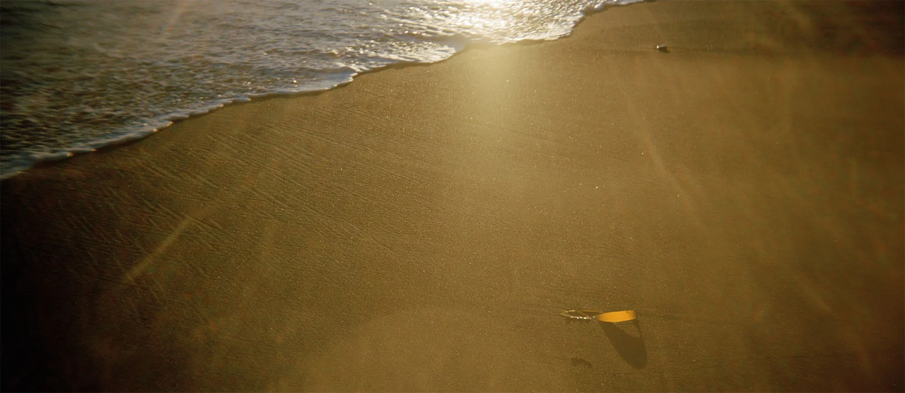 Kelp, 2014