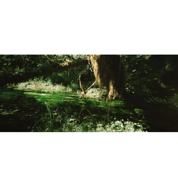 Raw_Earth_hoh_600.jpg