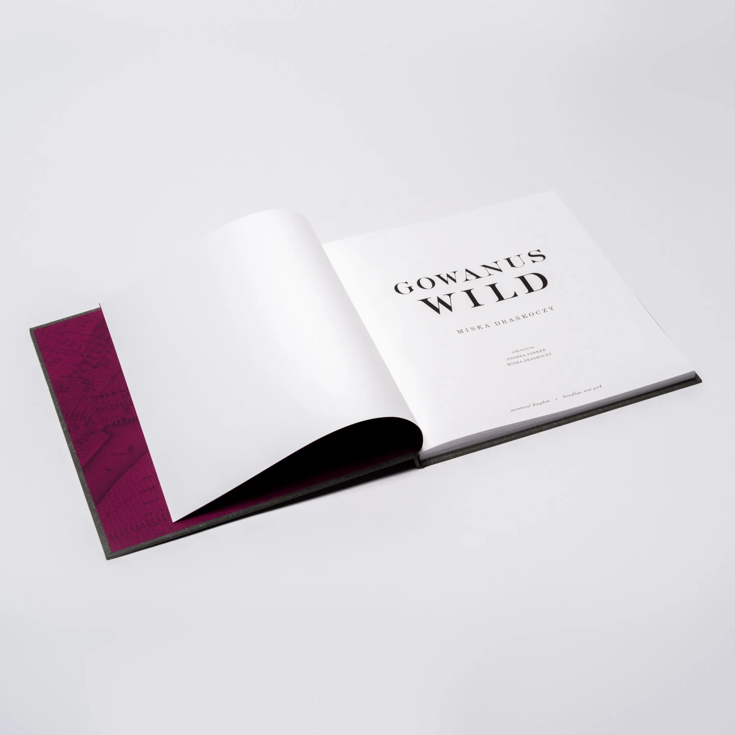 gw_book_interior1.jpg