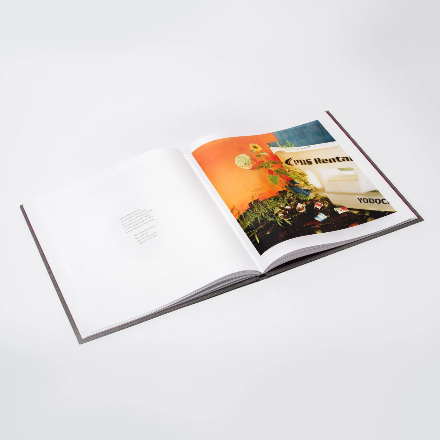 gw_book_interior3.jpg