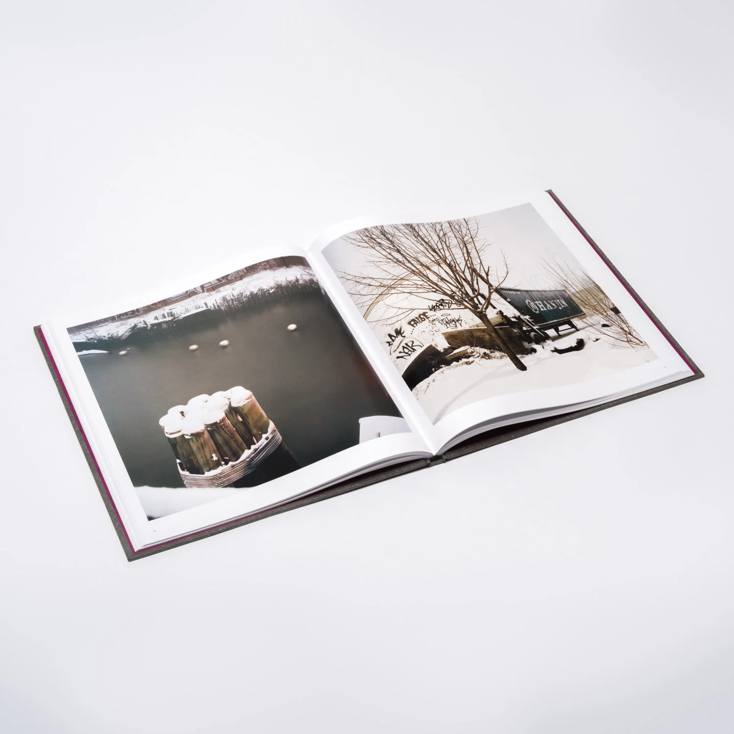 gw_book_interior4.jpg