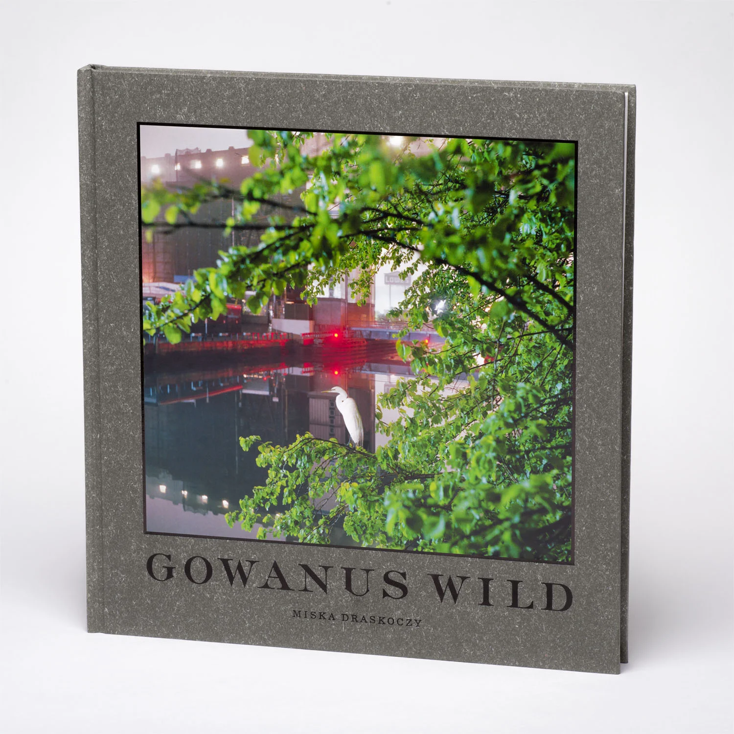 Gowanus_Wild_by_Miska_Draskoczy_perspective.jpg