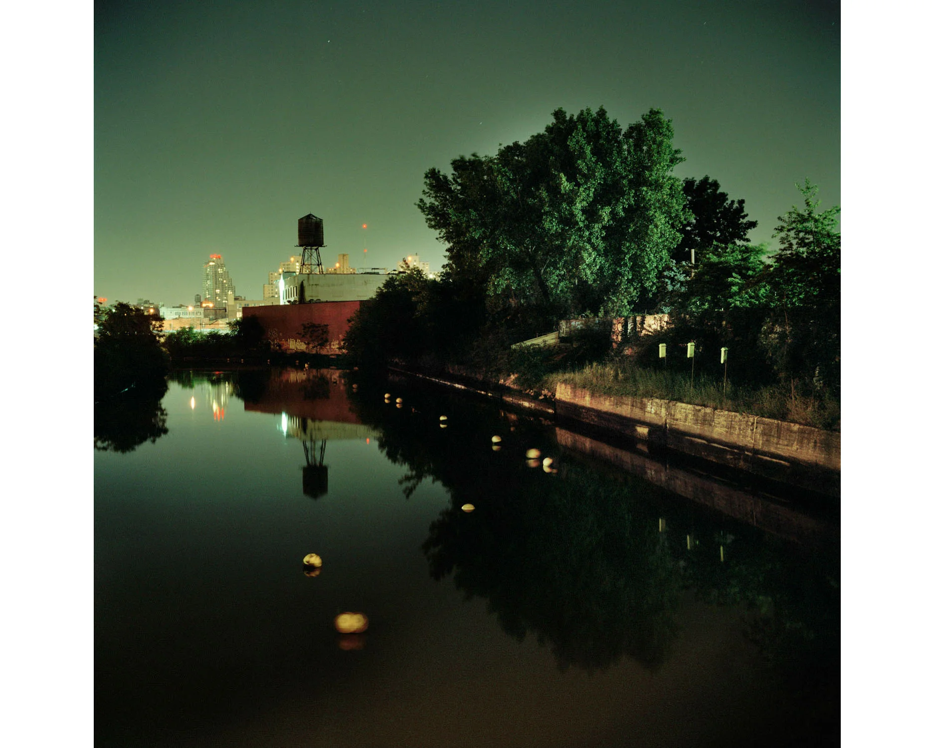 Miska_Draskoczy_Gowanus_Wild_green_canal rect2.jpg