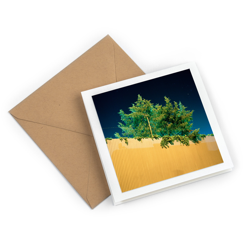 GW_card_fluorescent_tree.jpg