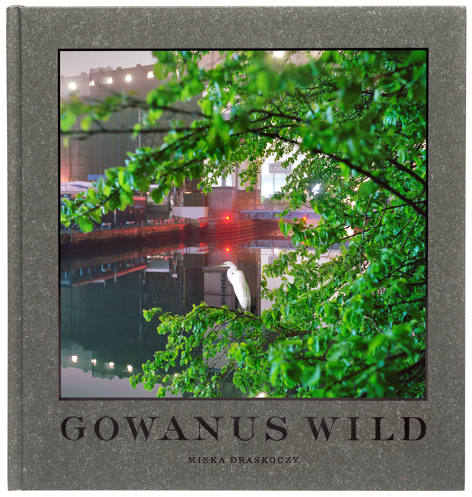 Gowanus_Wild_by_Miska_Draskoczy_flat_on_alpha_1500.png