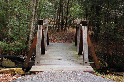 trail bridge.jpg