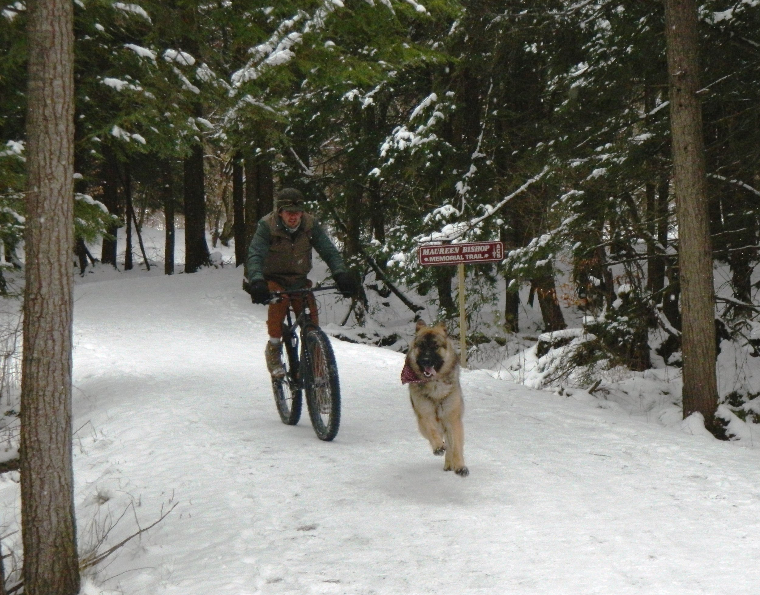 2017 ski for cancer bike.jpg