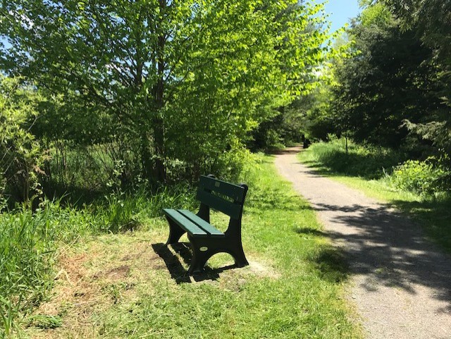 owoc bench 4.jpg