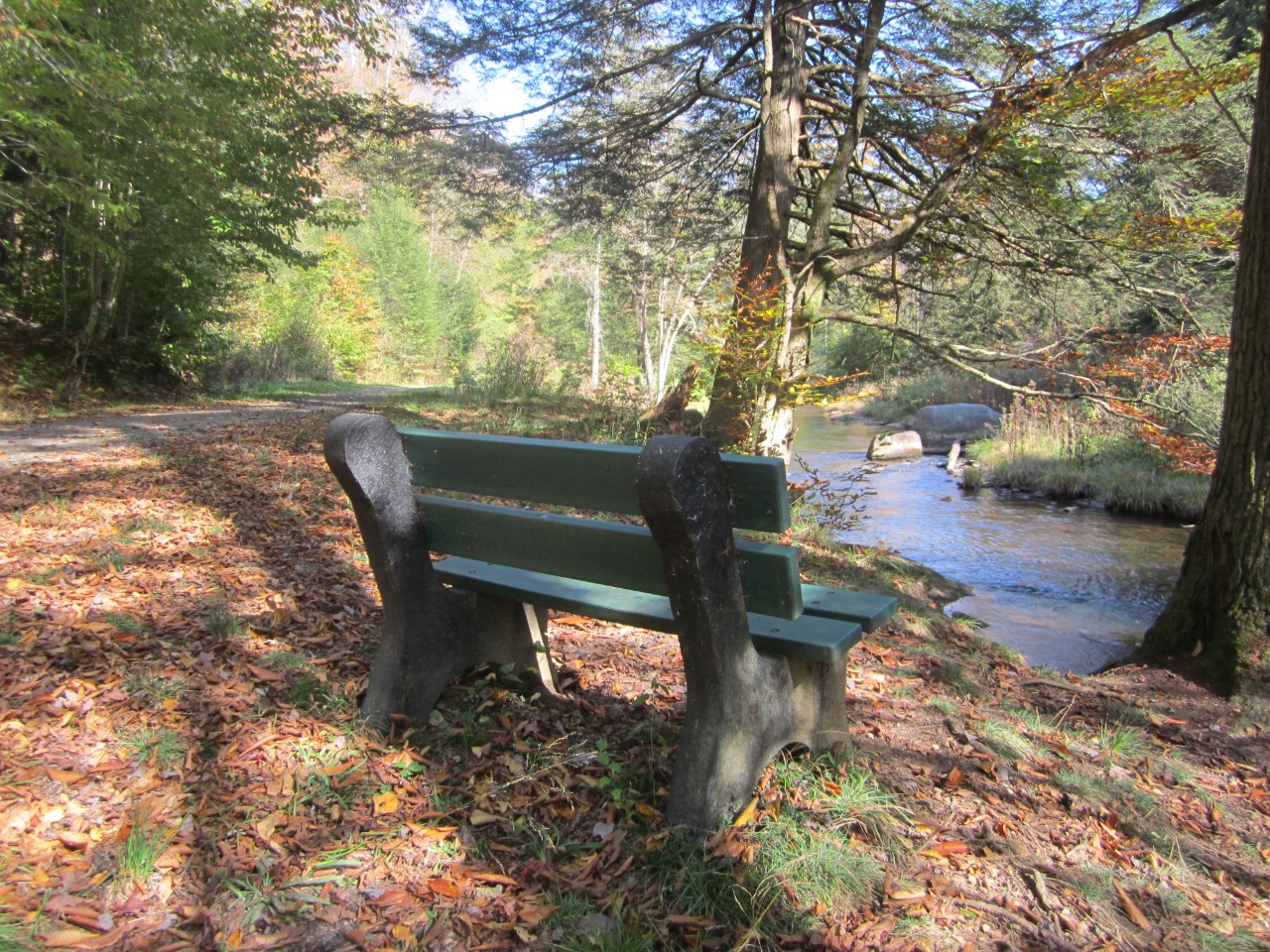 bench autumn.jpg