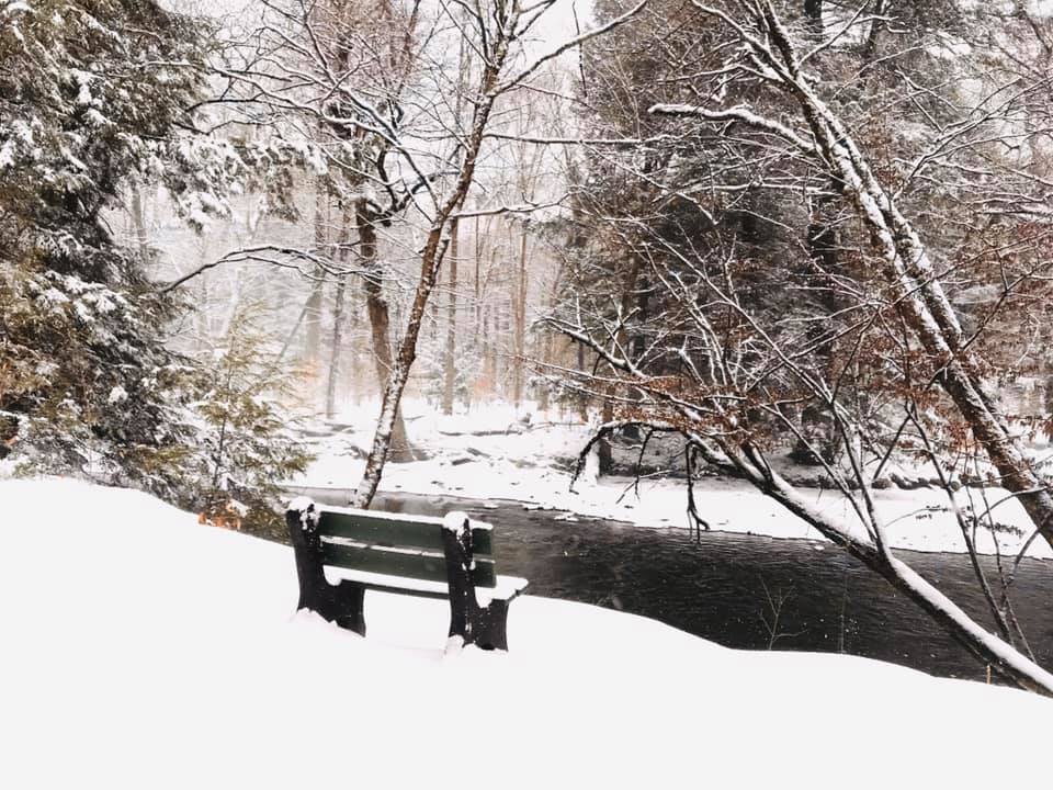 Kinzua Creek Bench with snow.jpg