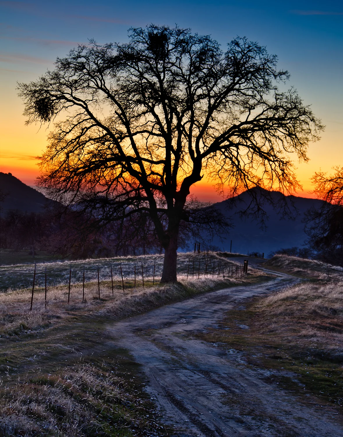 West Sierra Sunset
