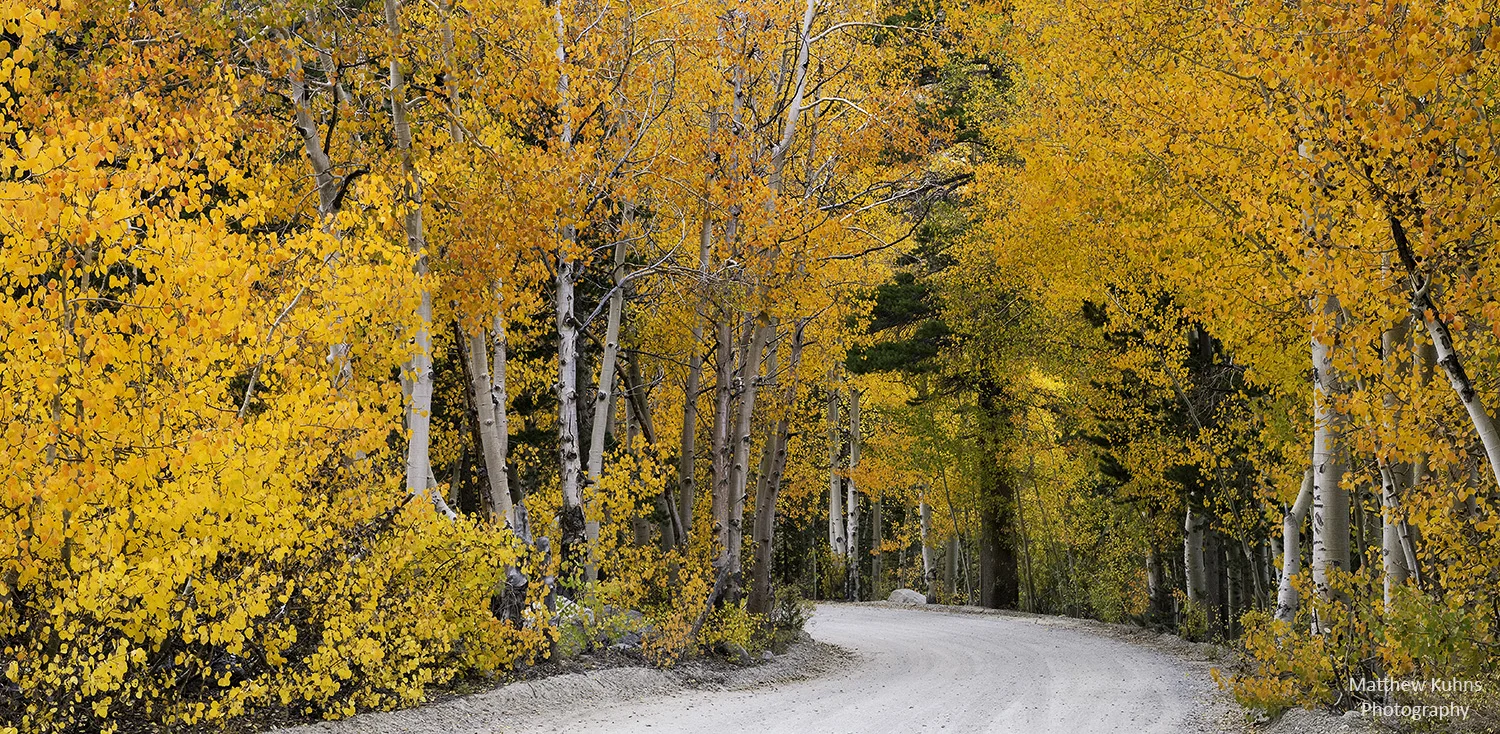 North Lake Road
