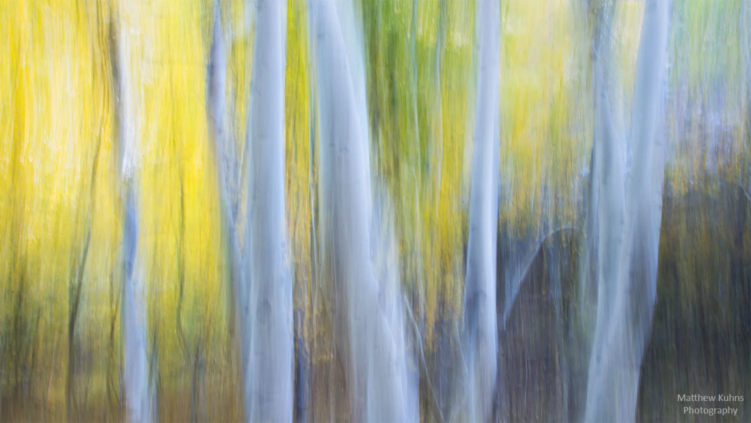 Pastel Aspens