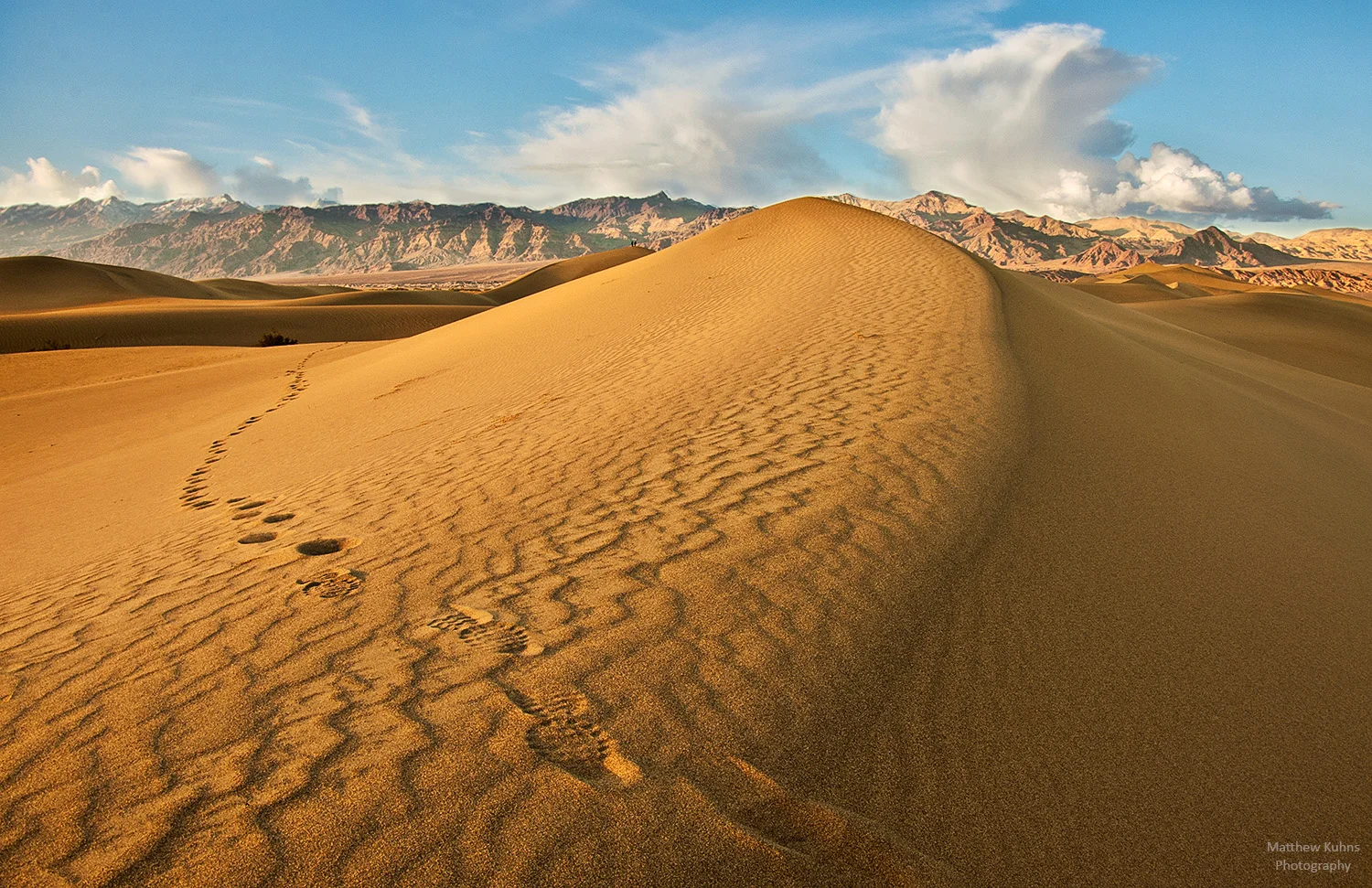 Tracks in the Sand: Mesquite sand dunes.