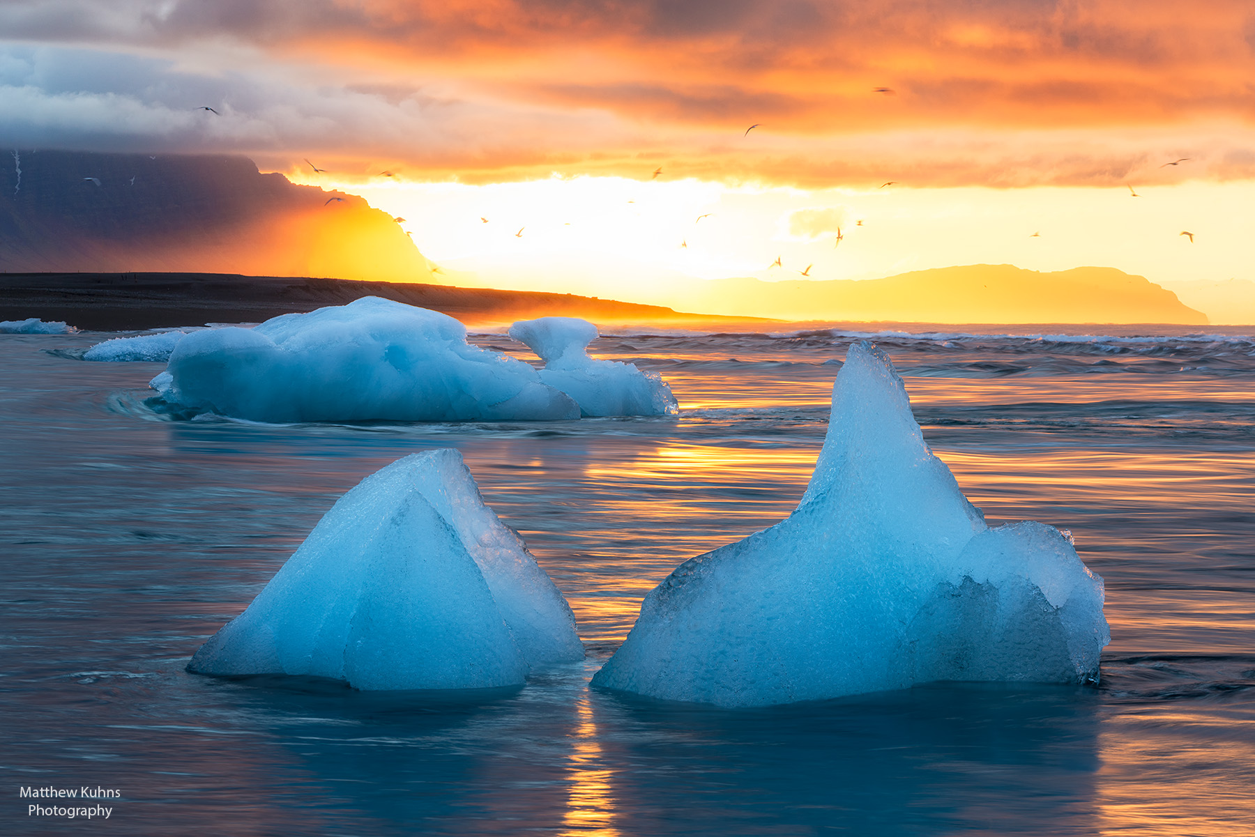 Click to Enlarge: Icebergs at Sunrise.
