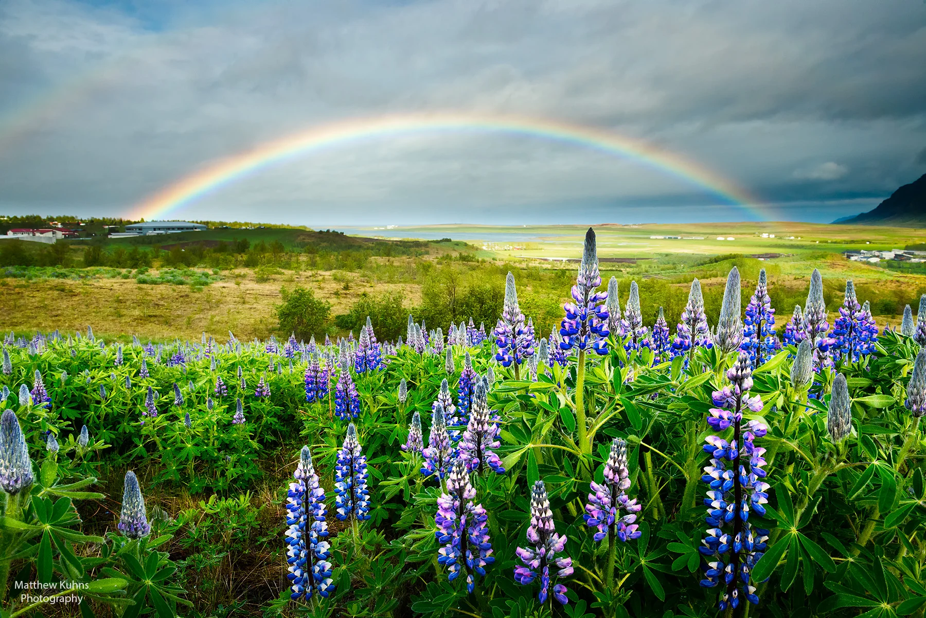 _DSC1509-Edit copy.jpg