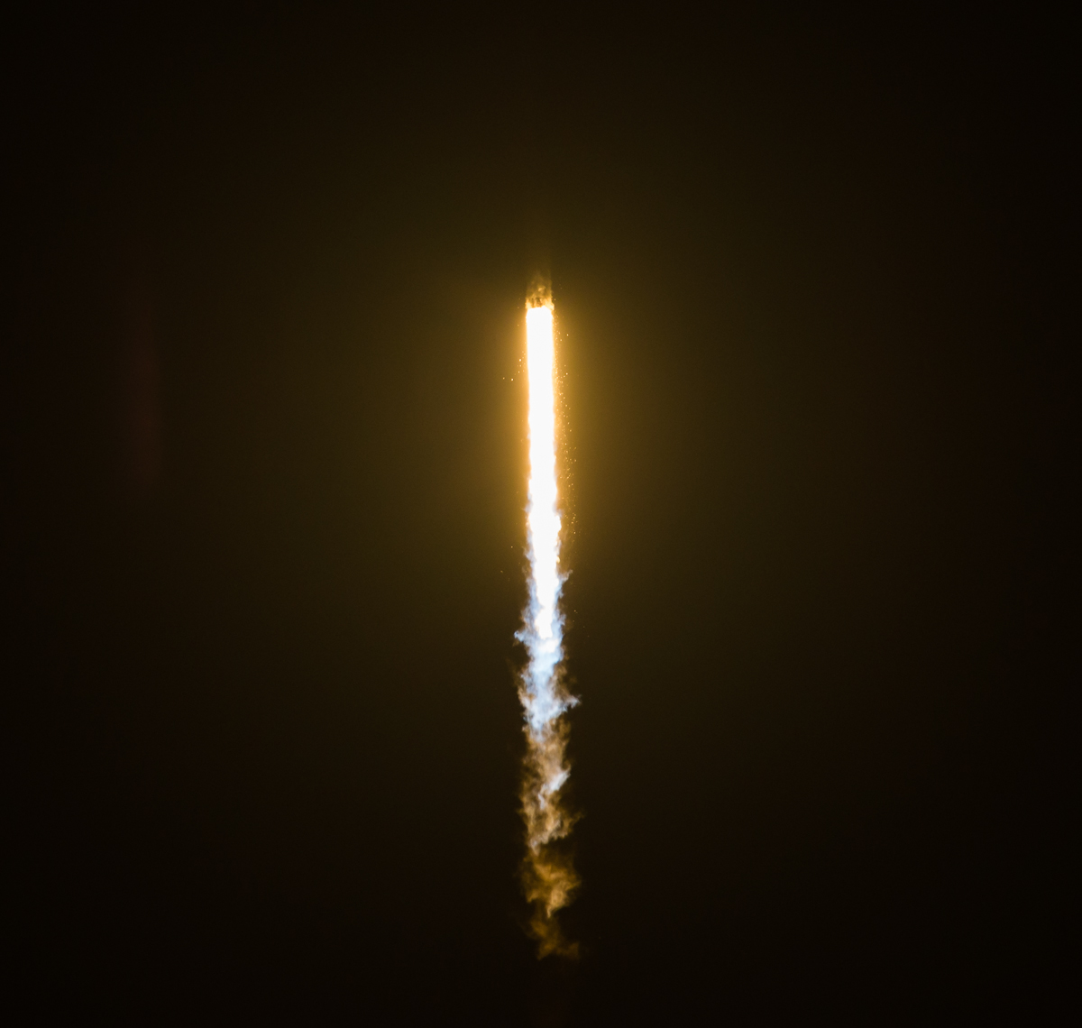 Falcon 9 and Dragon heading toward the ISS with a crew of mousetronauts.