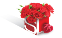SSL_MD_logo_heart.jpg