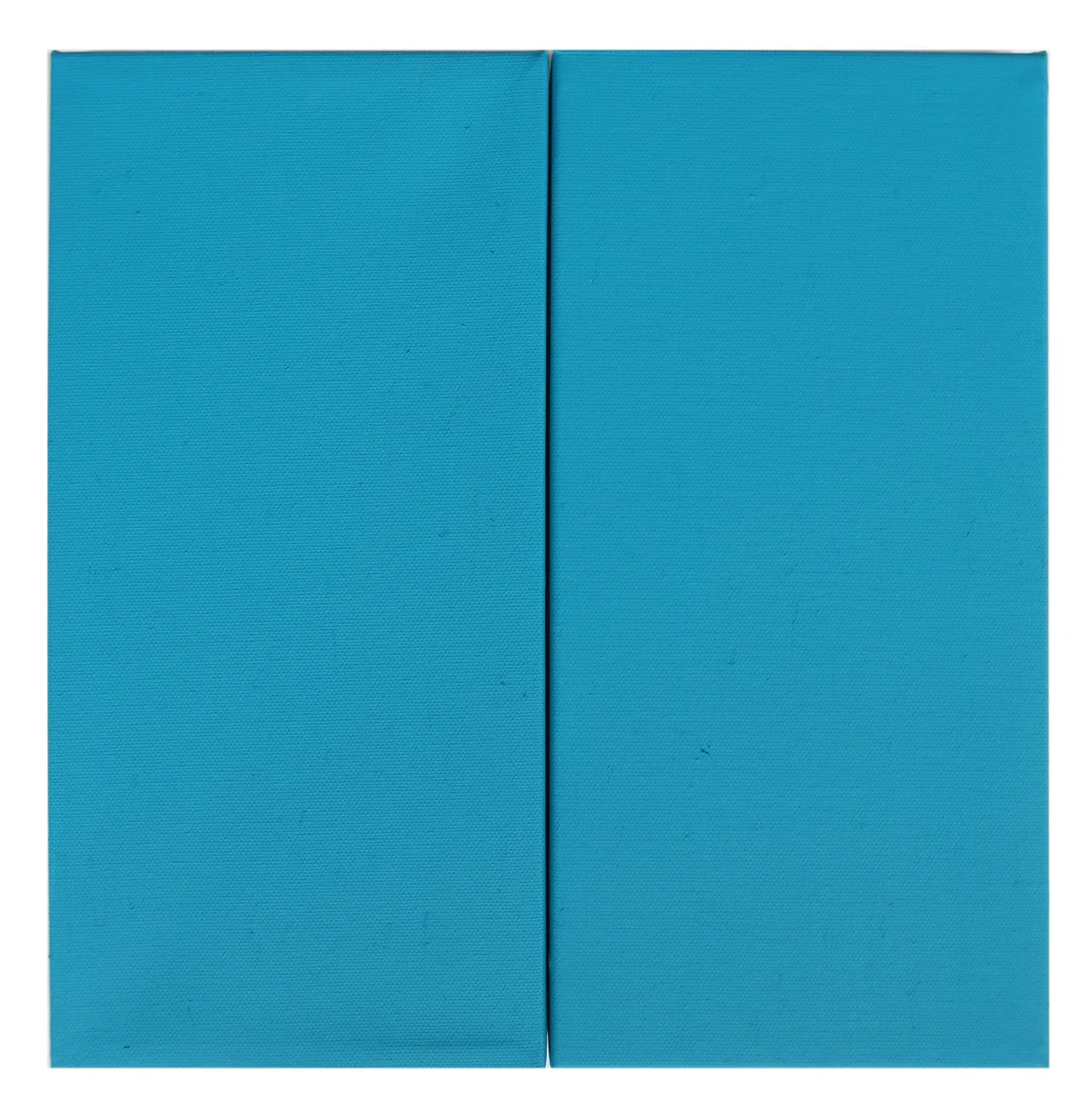 Untitled diptych