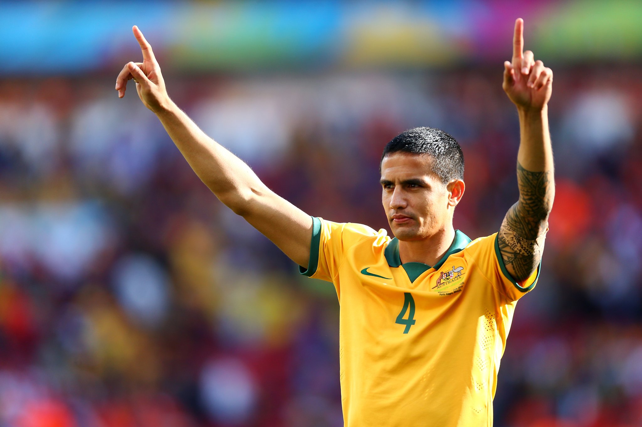   Tim Cahill  image - TEN 