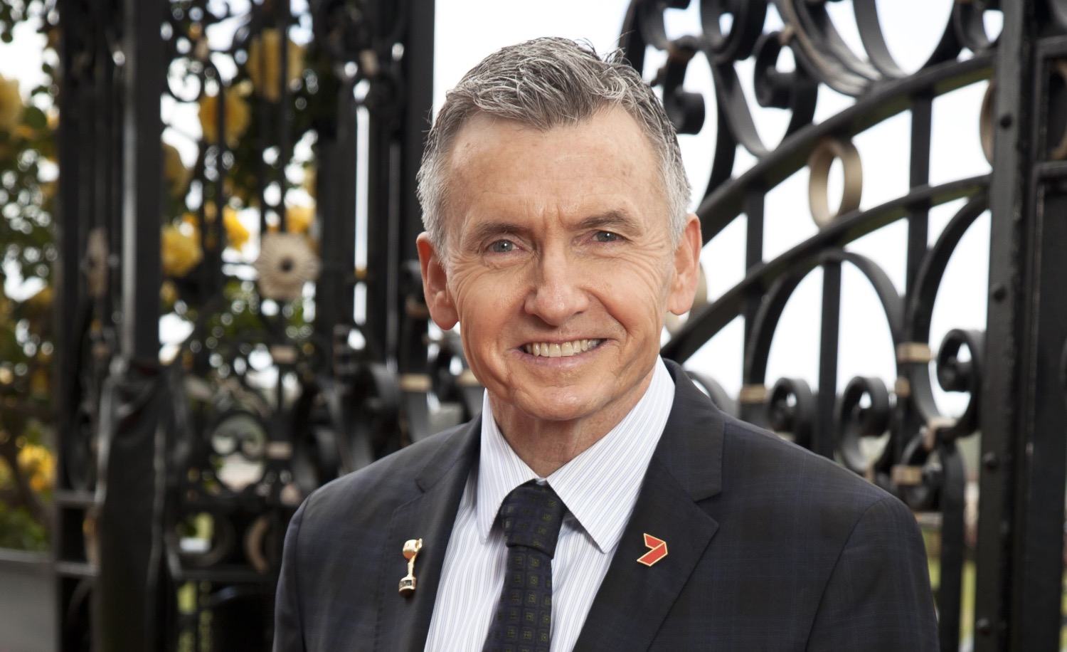   Bruce McAvaney  image source -  The West Australian  