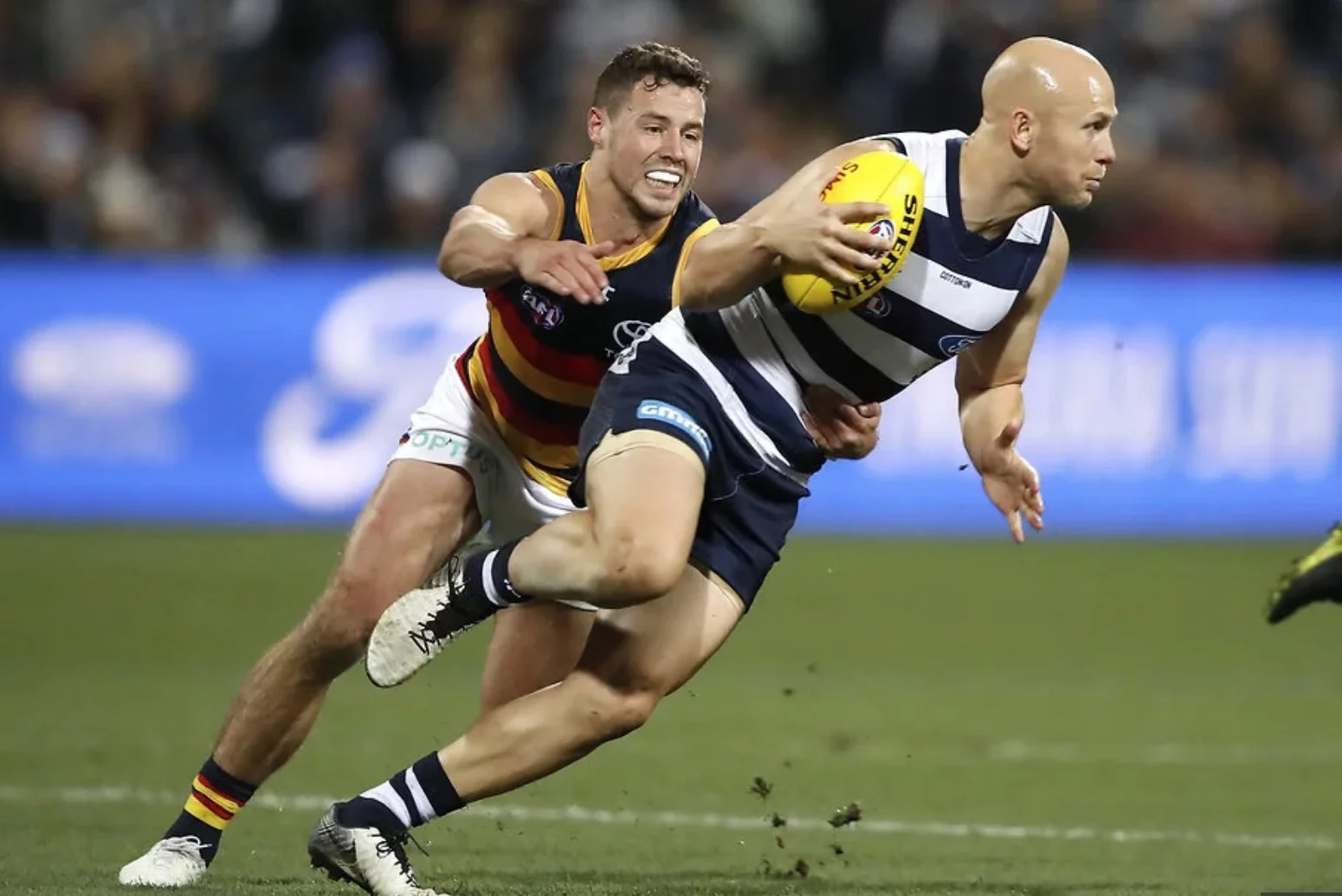 The highest rating fixture on the weekend was the Geelong v Adelaide clash on Friday night image - Geelong Advertiser