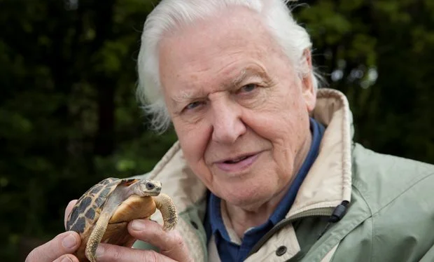 Sir David Attenborough image - BBC