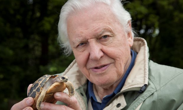   Sir David Attenborough  image - BBC 