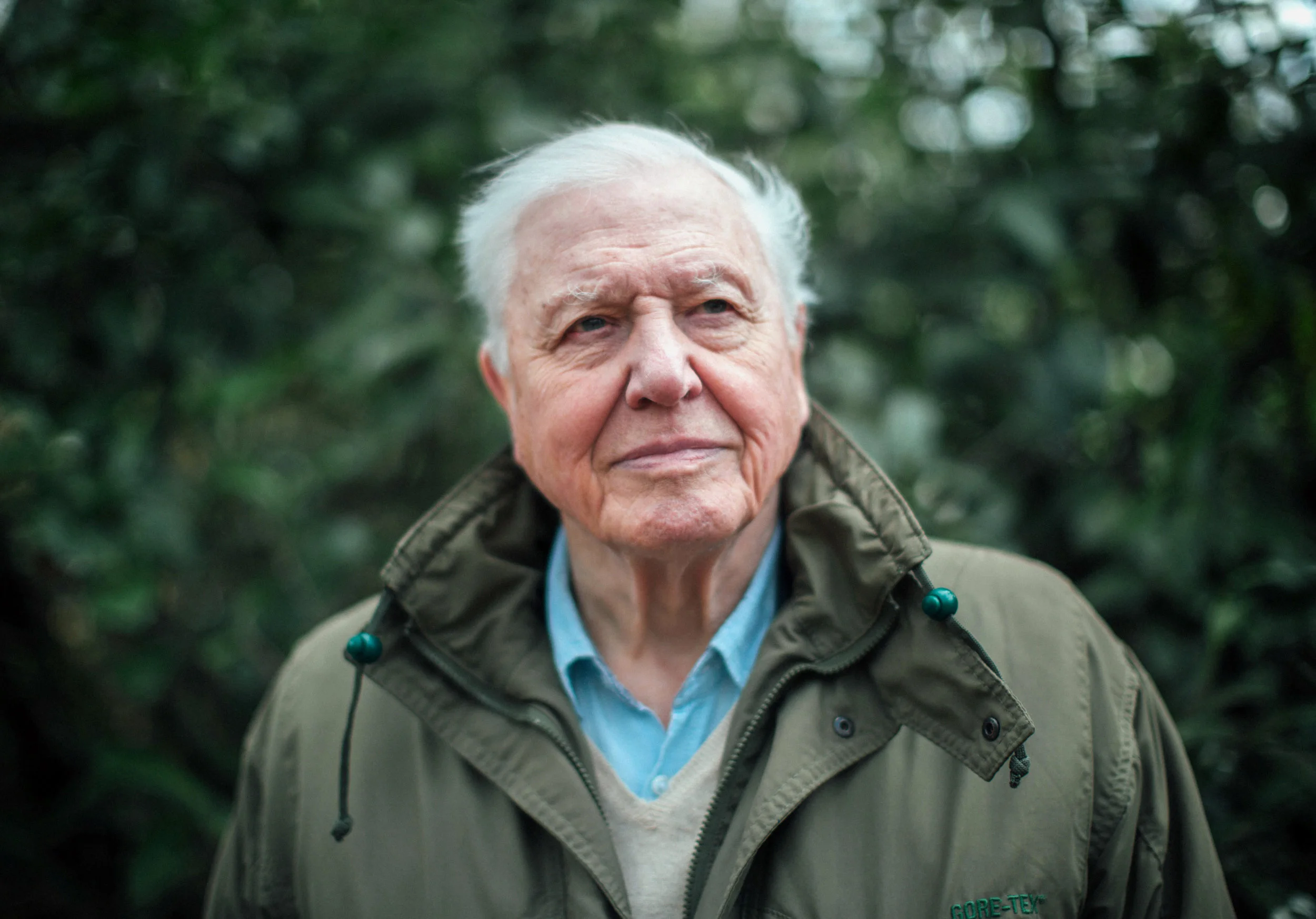 Climate Change: The facts with Sir David Attenborough Image - ABC