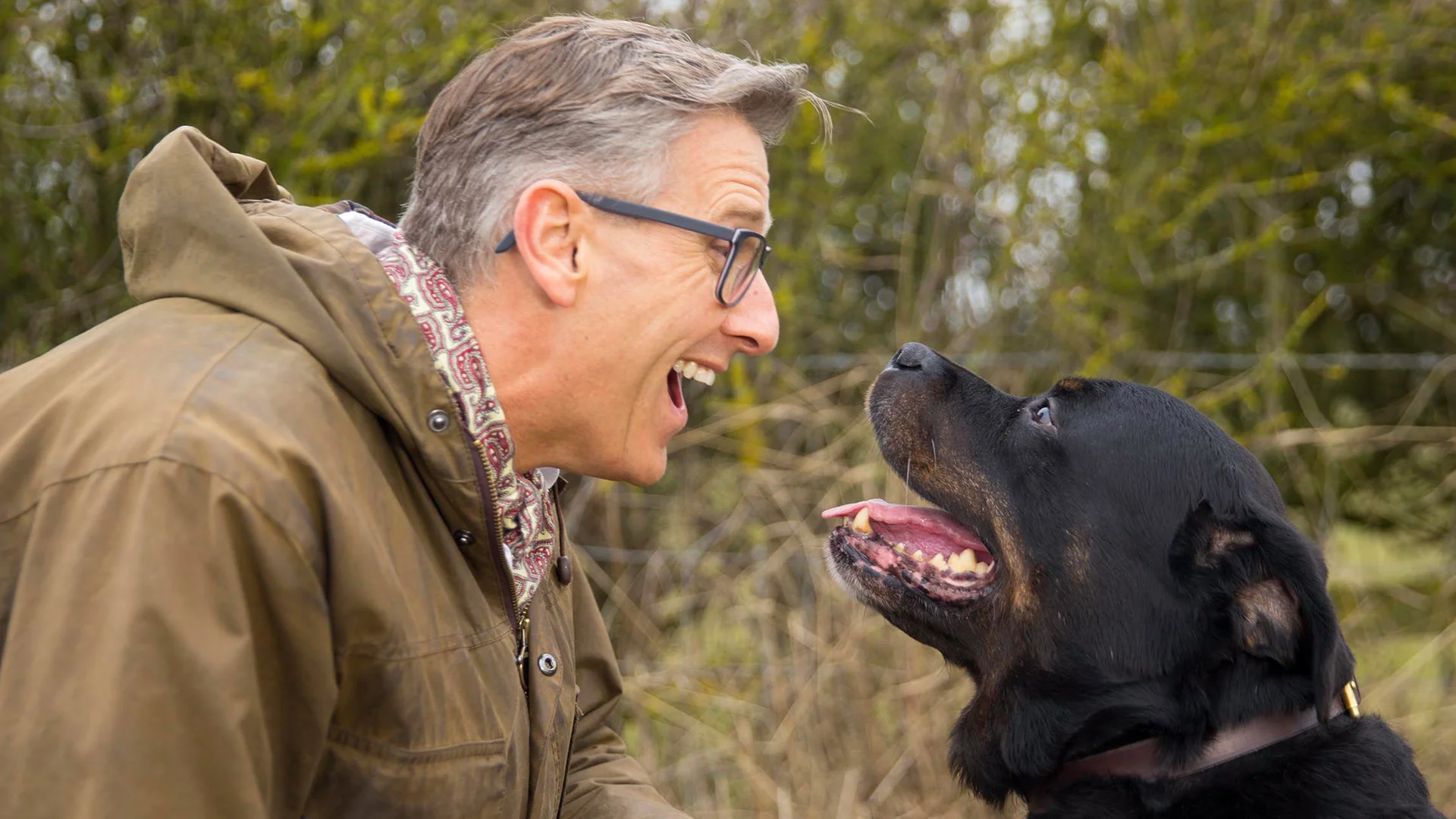 Dogs Behaving (Very) Badly Source: Channel 4