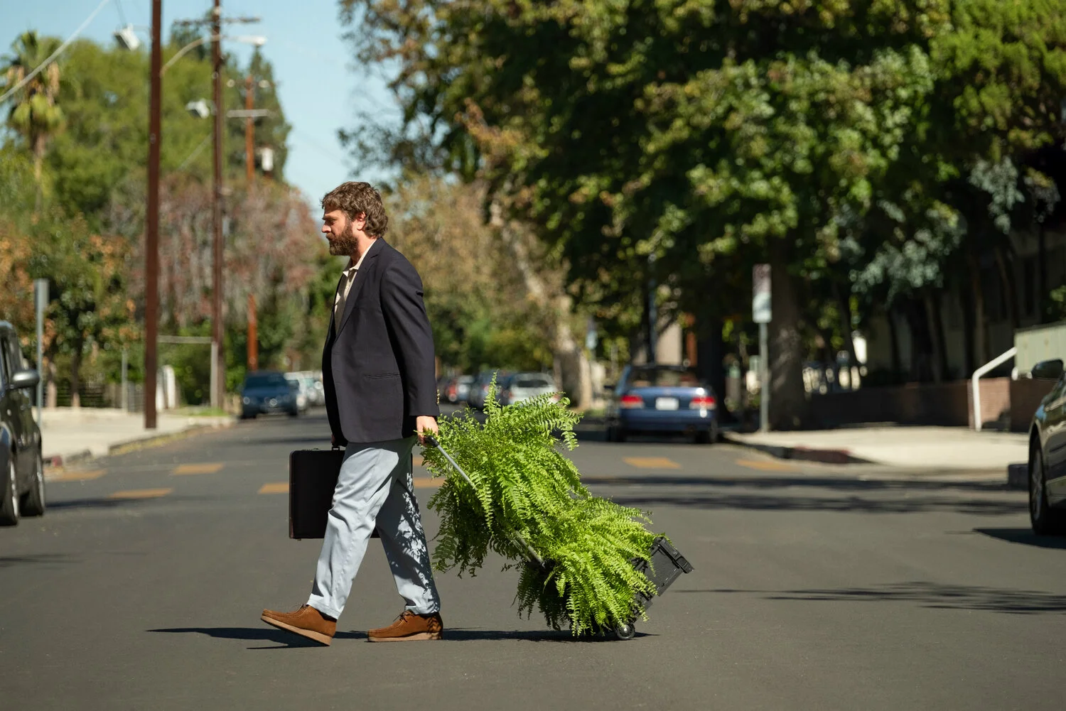 Zach Galifianakis stars in BETWEEN TWO FERNS: THE MOVIE Image - Netflix