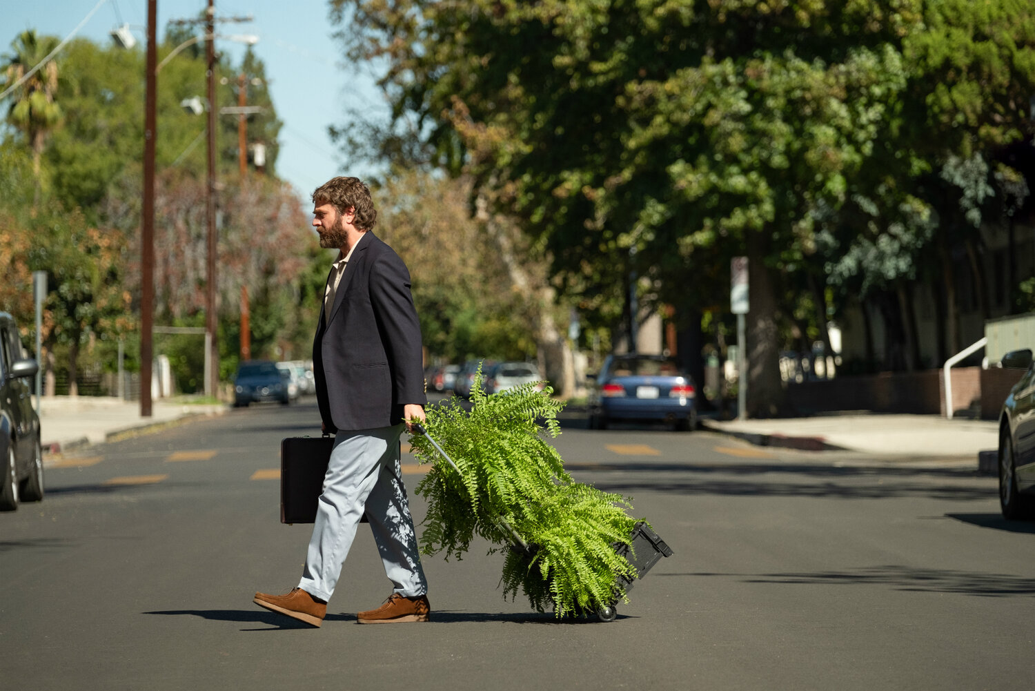   Zach Galifianakis stars in BETWEEN TWO FERNS: THE MOVIE  Image - Netflix 