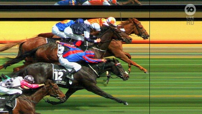   Photo Finish in the 2019 Melbourne Cup  image - 10Daily 