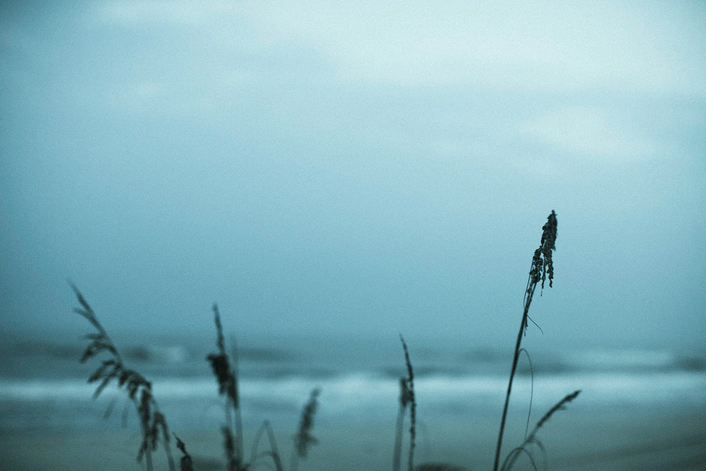 Blue Morning
