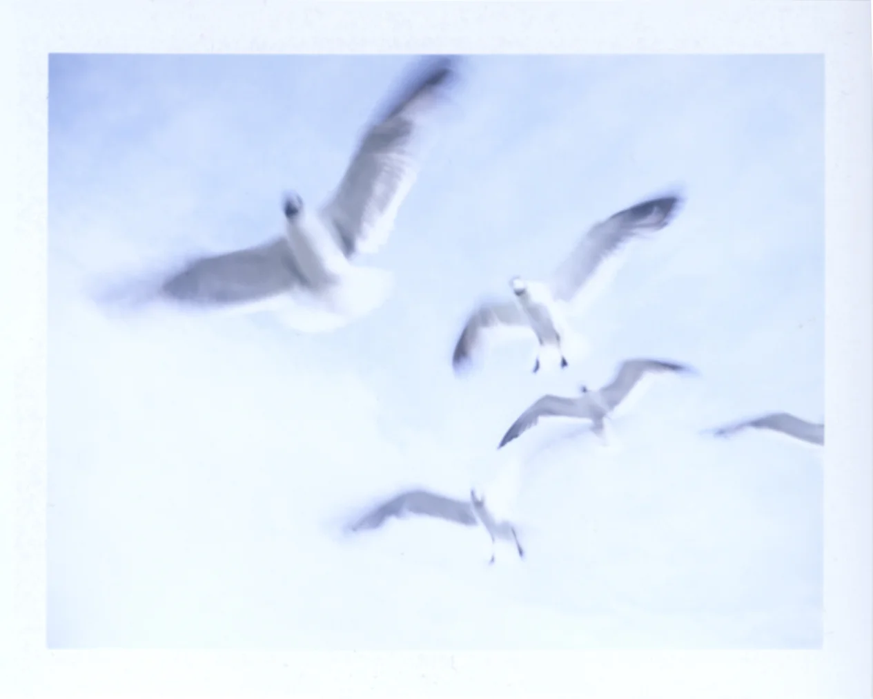 Flight