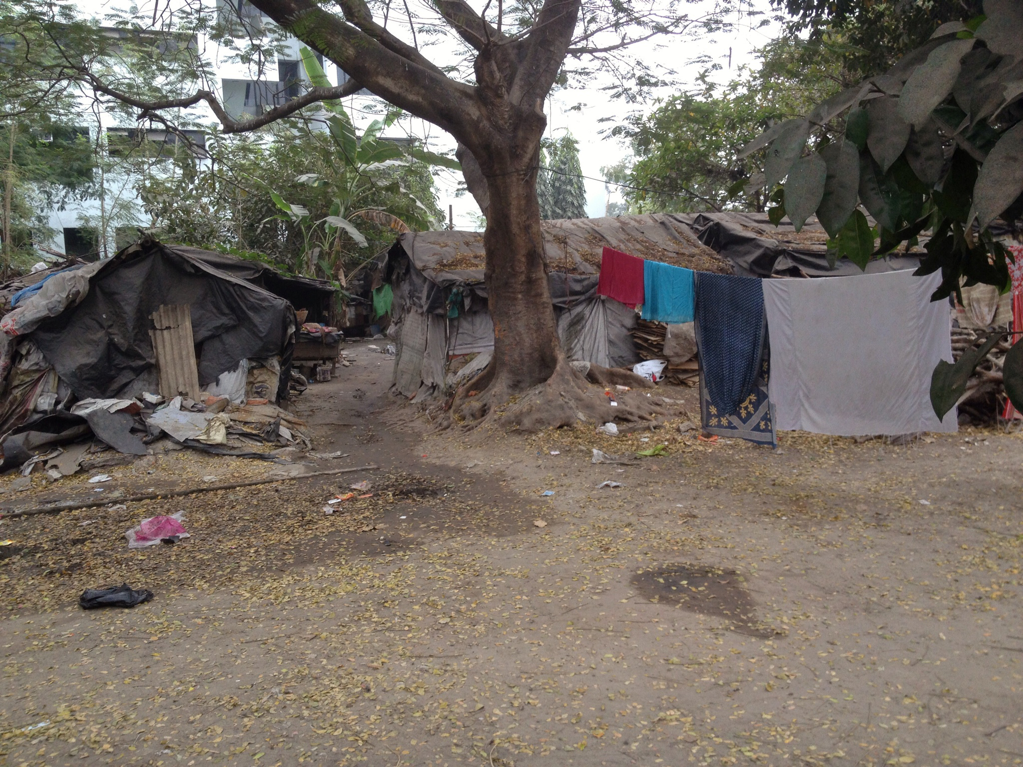 slums.jpg