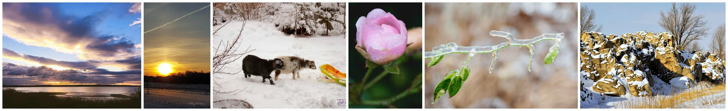 arrival images of nature...