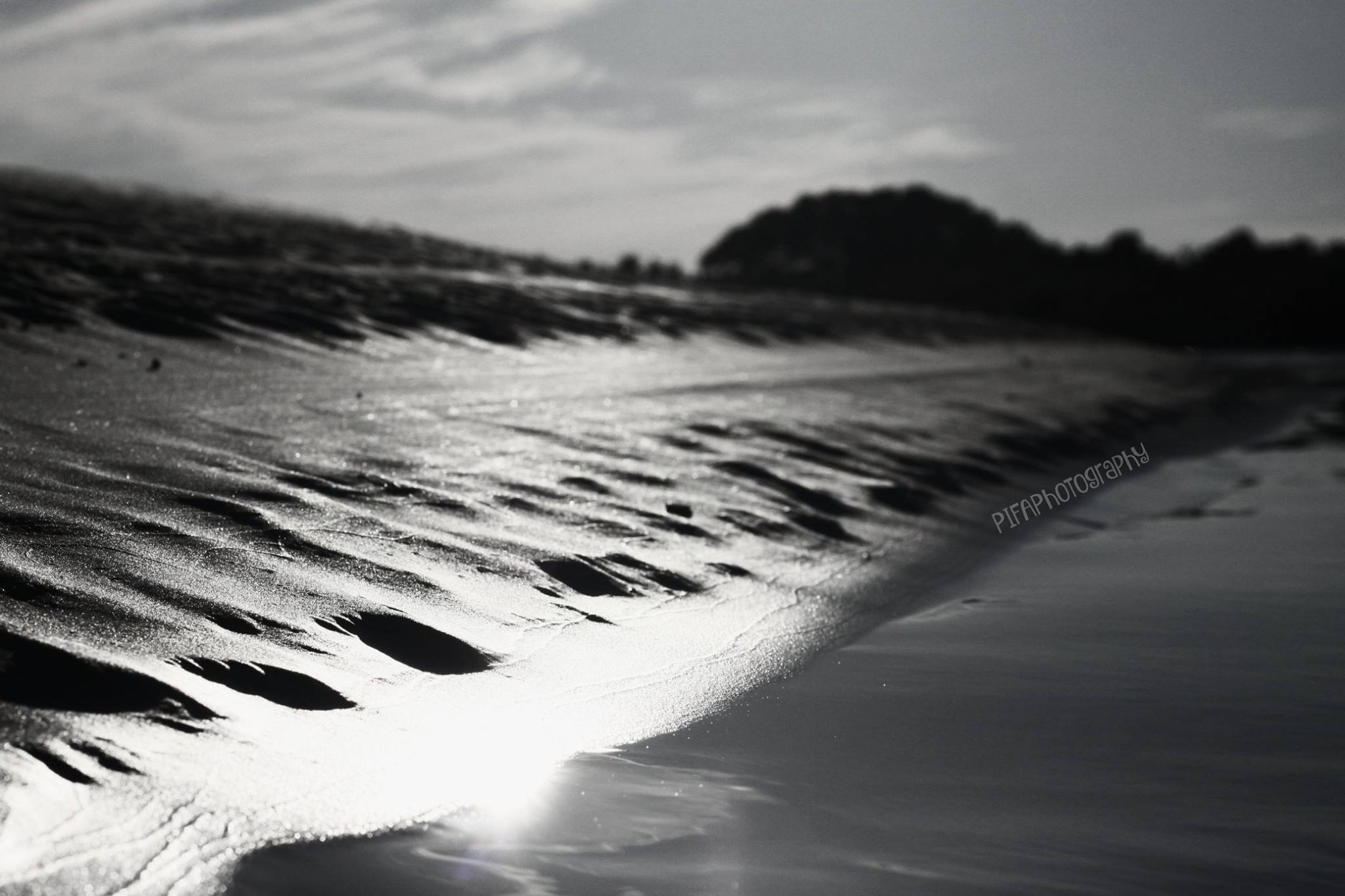 Entry number two: this river empties out into the Atlantic Ocean twice a day revealing vast sandbars where boaters usually gather telling fish stories. On this particular day, not only was the river empty, but the sandbar was all ours as well, it was quite the treat!