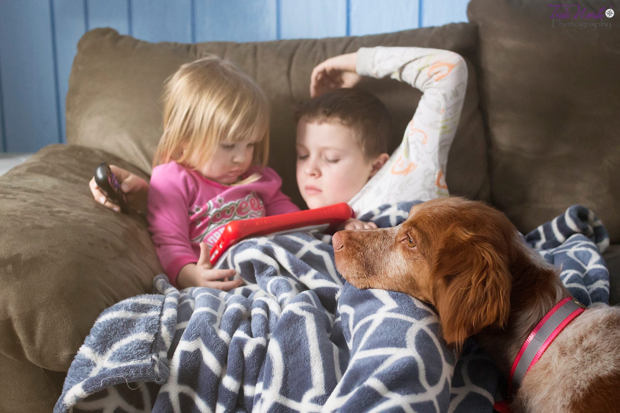 Our lives would feel empty without her sweet head resting on our lap when we have a quiet moment. Her life would feel empty without her family to play with her, hunt with her, and love on her. How blessed we are to know the fullness, though when she is gone the emptiness will be haunting.