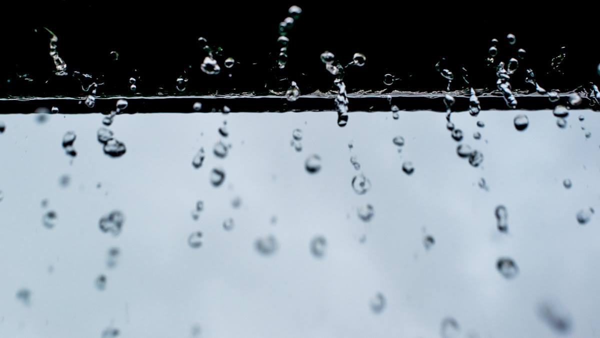 LOVE the rain running off the gutters of this old place after a very long dry spell on the farm. Water in the tanks, water in the dams, followed by sunshine giving us feed in the paddock for the stock. Summer is not over yet but the recent rain has been a welcome respite from the dry heat. Billie Leatham