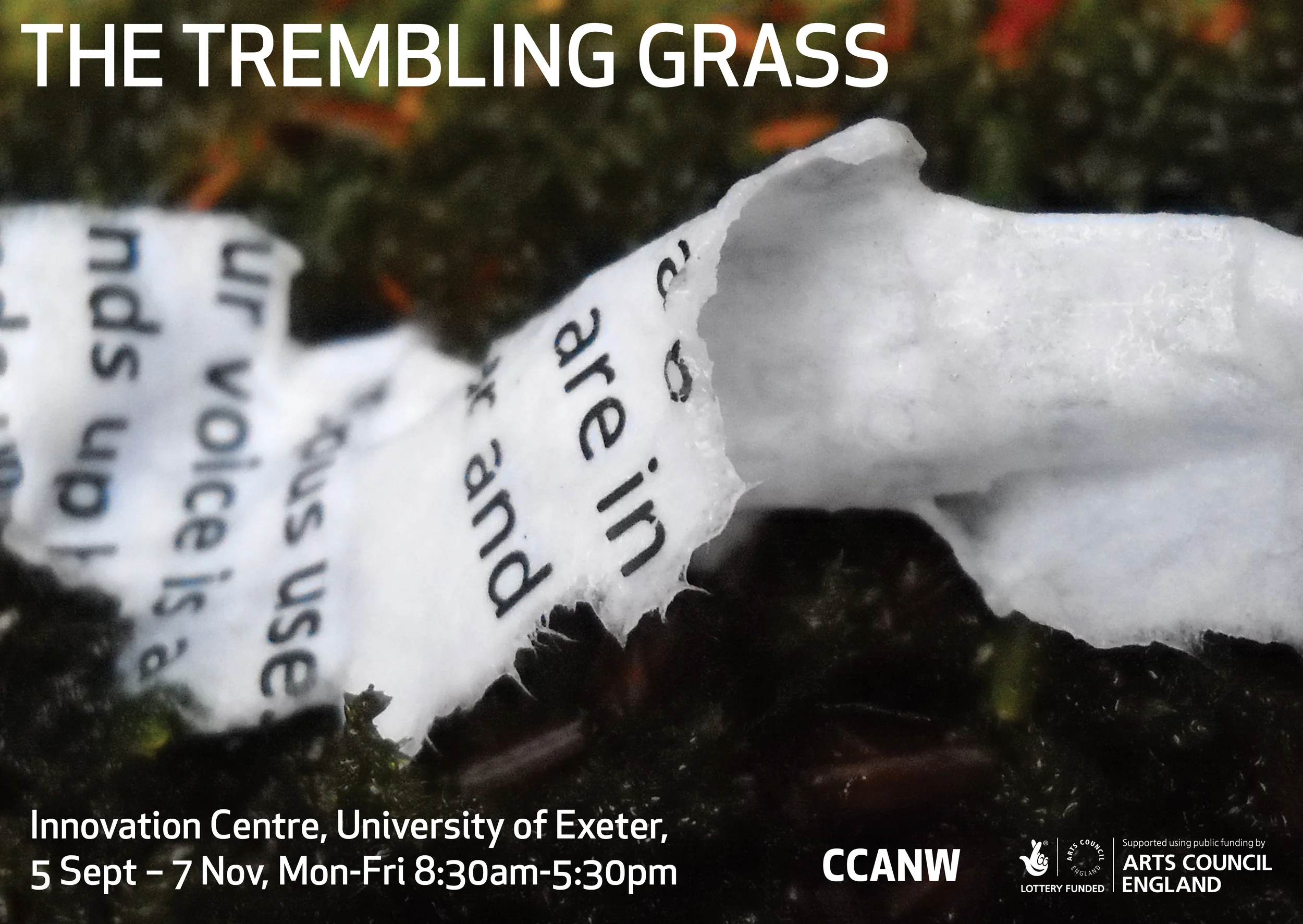 The Trembling Grass: Performance