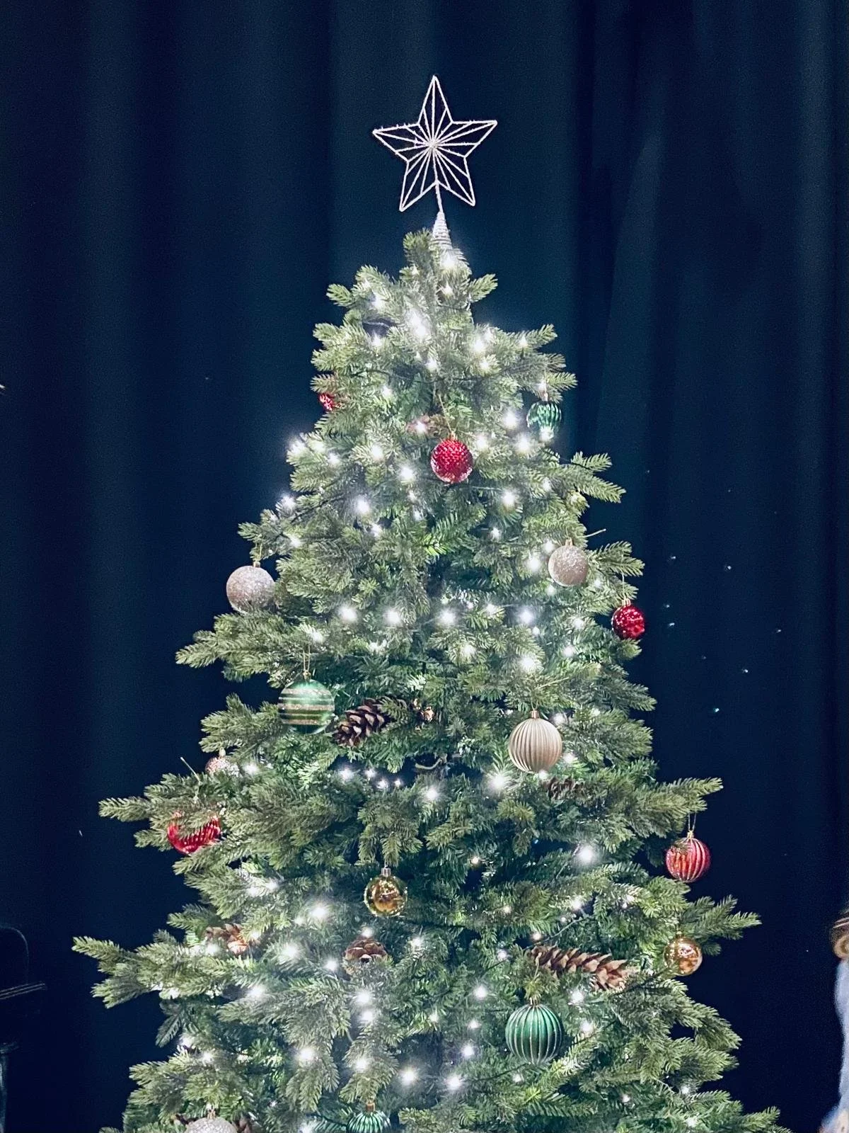 WhatsApp Image 2025-03-18 at 11.03.05.jpeg