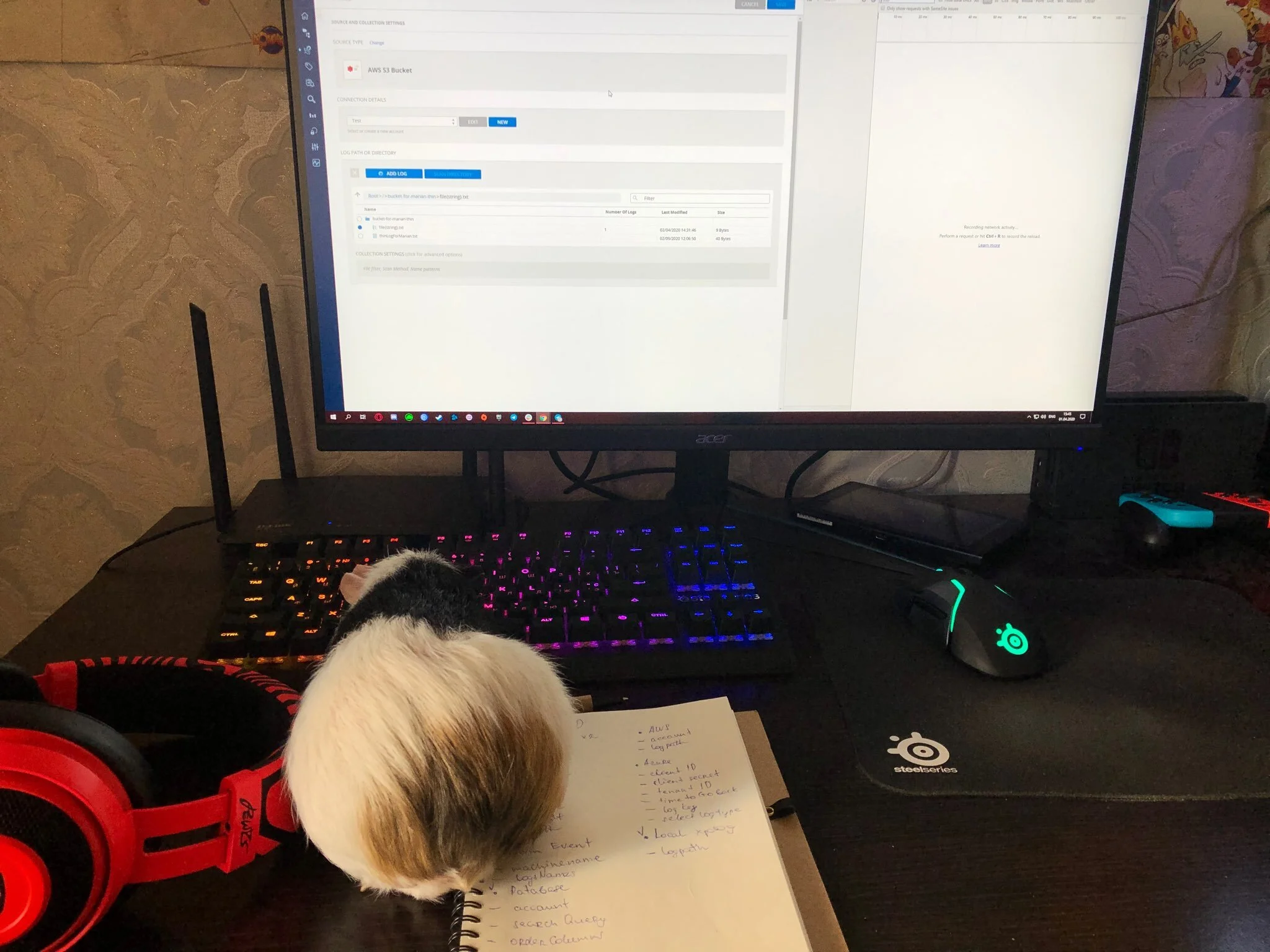 Nikita Kharin, QA Engineer, Ukraine