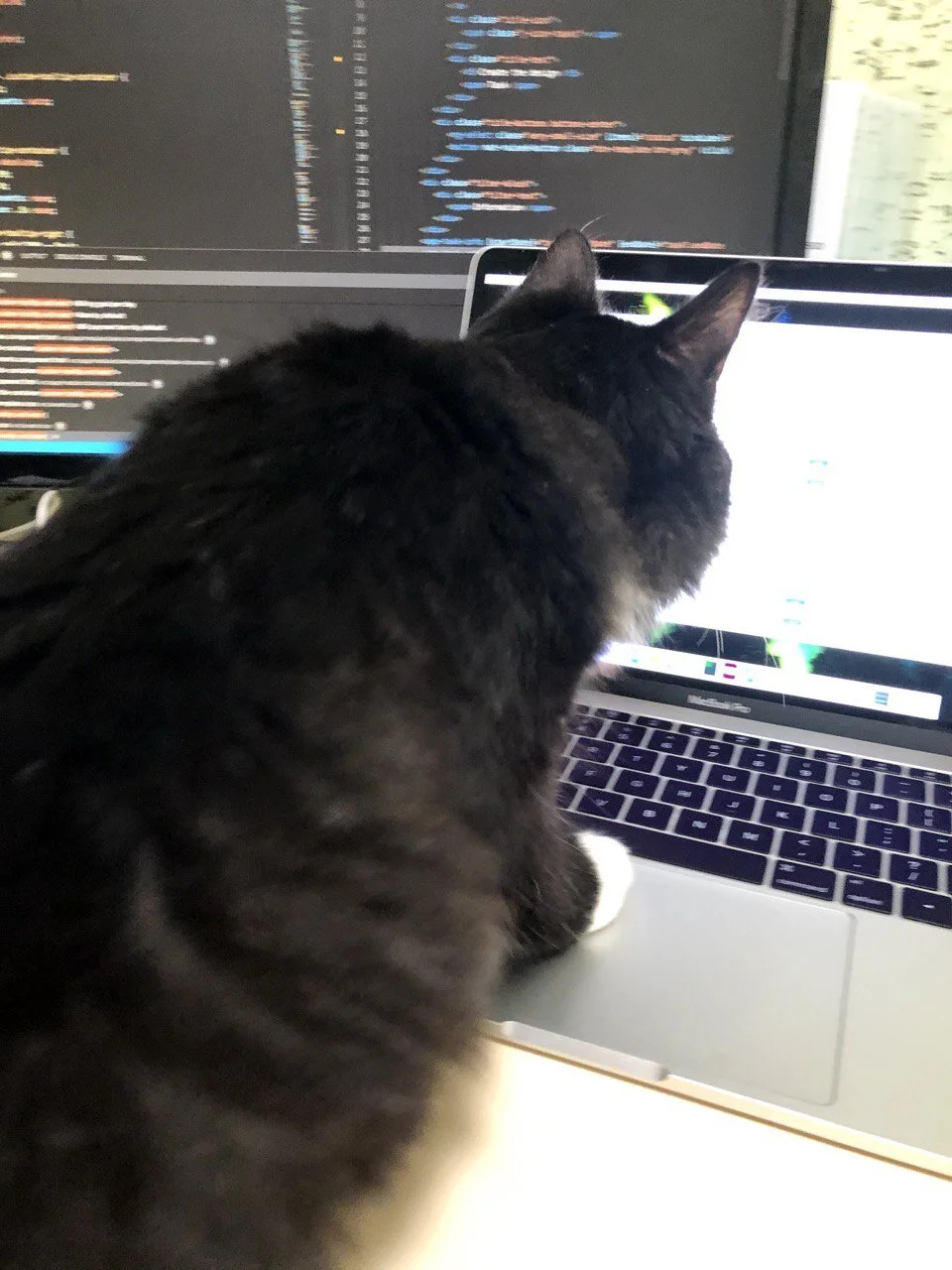 Yevhenii Sydorenko, Frontend Developer, Ukraine