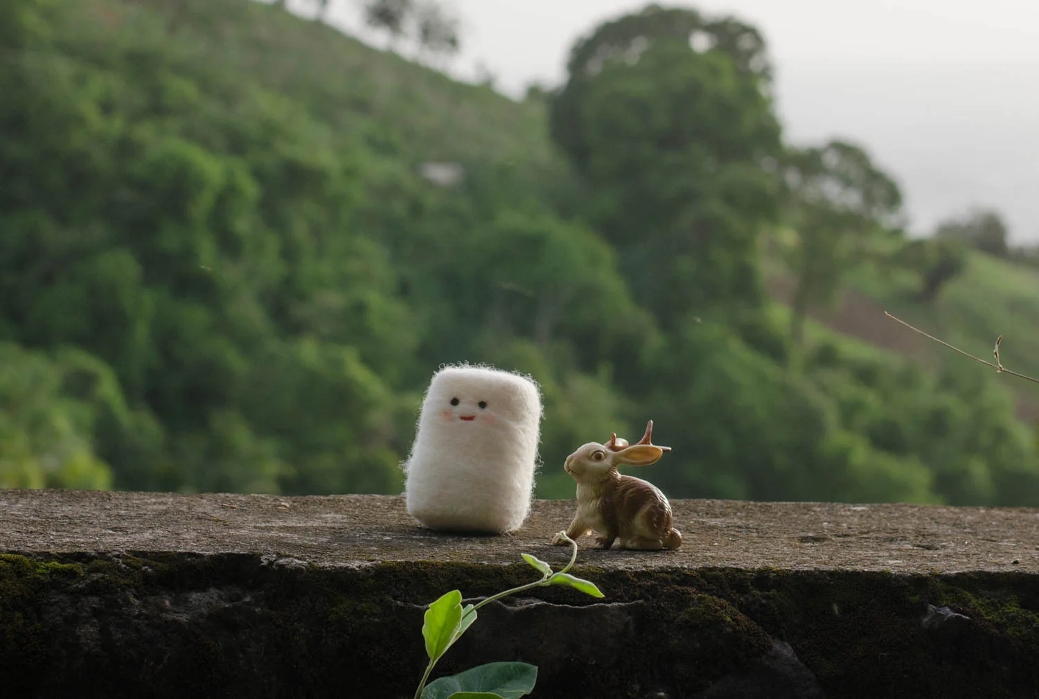 A Crowdfunding Lookback - Lessons Learned and 10 tips for Those  Considering a Crowdfunding Campaign. 