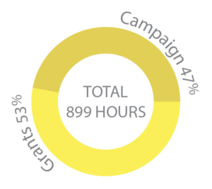 Grants vs. Campaigns