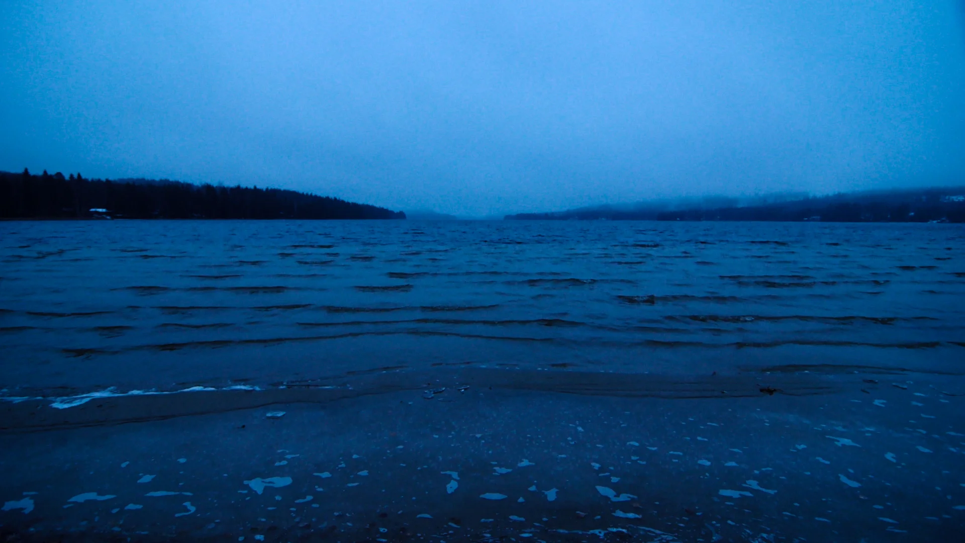 Selkie Background.jpg