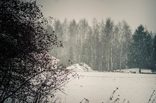 Back from Nicaragua - Off to Finland