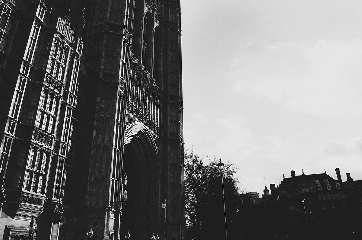 DSC_5377.jpg