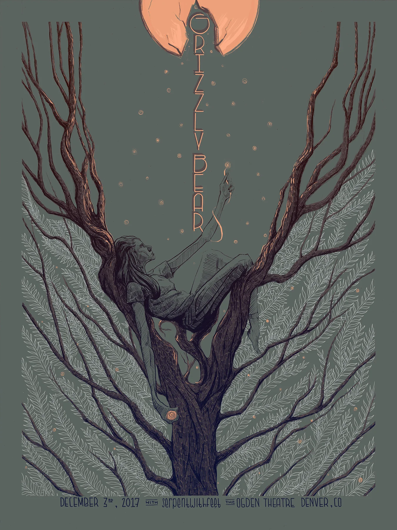 GrizzlyBear-Dec3-WEB.jpg